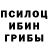 Галлюциногенные грибы мухоморы MidavLoh