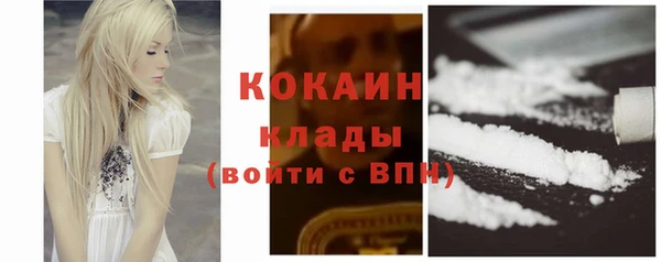 прущие грибы Баксан