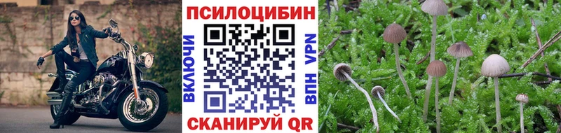 blacksprut рабочий сайт  Советская Гавань  Псилоцибиновые грибы Psilocybe 
