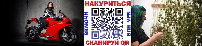 OMG tor  Советская Гавань  нарко площадка какой сайт  Каннабис Ganja 